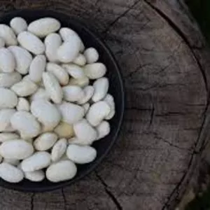 Закупівля квасолі на переробку,  консервування