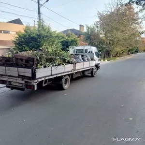  Спил дерева,  покос травы ,  расчистка участков вывоз мусора