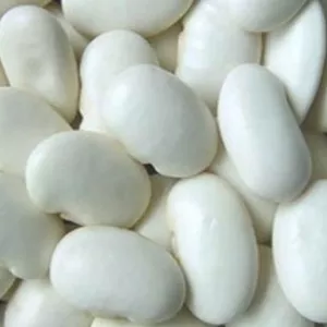  Сортова квасоля в асортименті