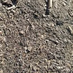 Куплю деловые отходы подсолнечника,  рапса. Скупка сора.