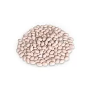 Закупка квасолі на переробку та консервування