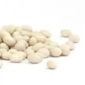 Закуповуємо квасолю для переробки та консервування