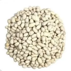 Закуповуємо квасолю оптом на консервування