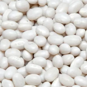 Квасоля оптом від виробника. 20 сортів в асортименті