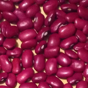 Великий вибір сортової квасолі.