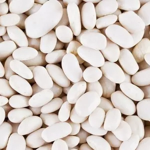 Продаж високоякісної квасолі відбірних сортів