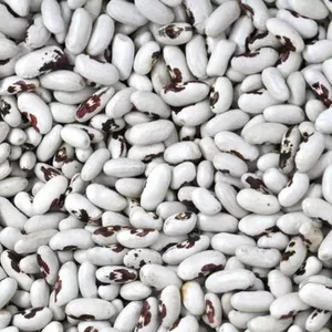 Продаж високоякісної квасолі з доставкою