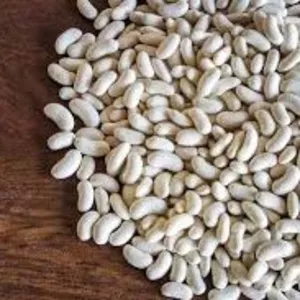 Купуємо квасолю різних сортів. Від 10 тонн