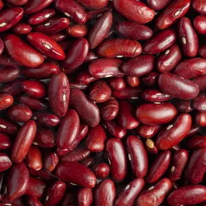 Квасоля на продаж,  в асортименті 20+ сортів