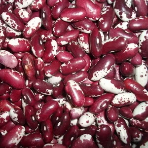 Квасоля на продаж. Різні сорти в асортименті