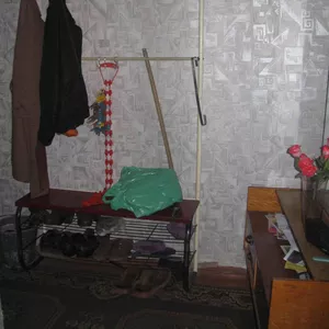 3-комнатная квартира в центре,  посуточно