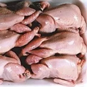 НИППЕЛЬНЫЕ ПОИЛКИ для перепелов,  кур и т.д. 