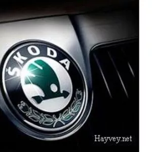 Продам запчасти на Skoda Oktavia !