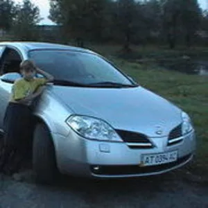    Продам Nissan Primera 2003 г