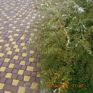 Тротуарная плитка (ФЕМ)