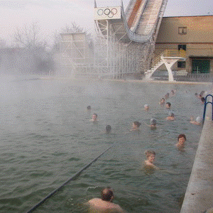 ОЗДОРОВИТЕЛЬНЫЙ И АКТИВНЫЙ отдых в курортном г.Берегово!Аренда жылья