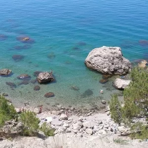 Offer services of the driver and the interpreter in Crimea!