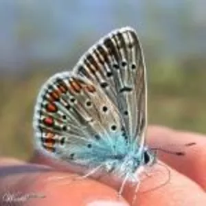 Снимем квартиру на длительный срок!!!